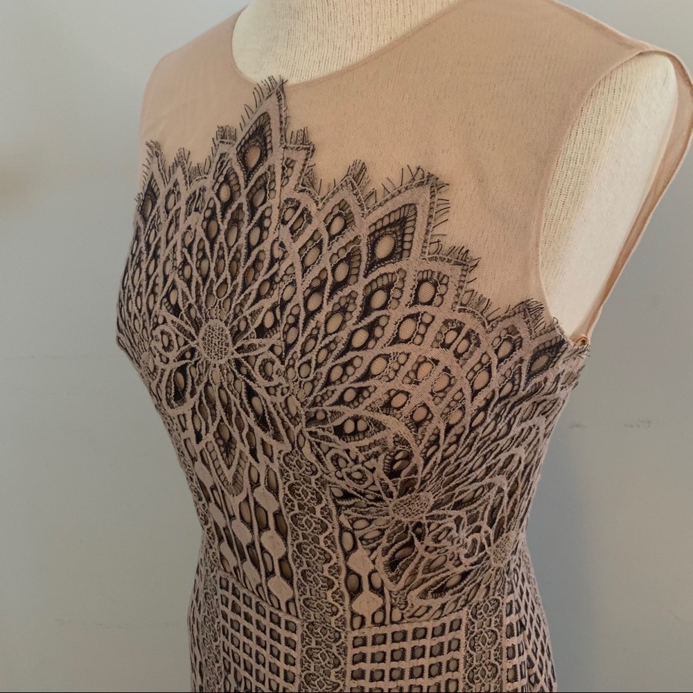 BCBG MaxAzria blush & black lace dress NEW nude - Picture 15 of 16